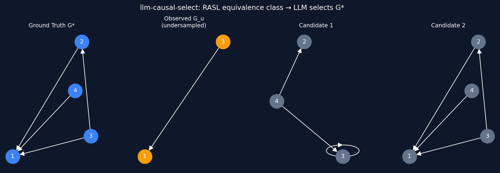 LLM-Causal-Select Project